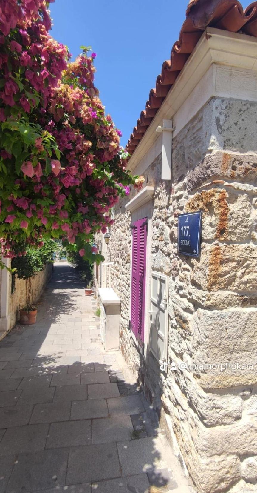 Mi Amor Phokaia Foça Luaran gambar